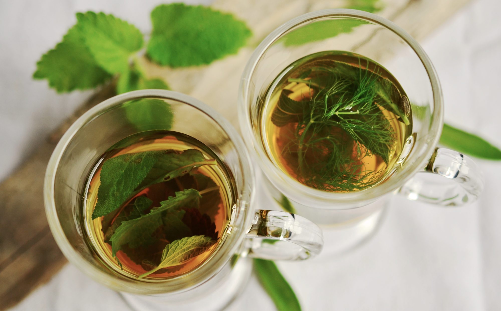 Les 1001 vertus des plantes