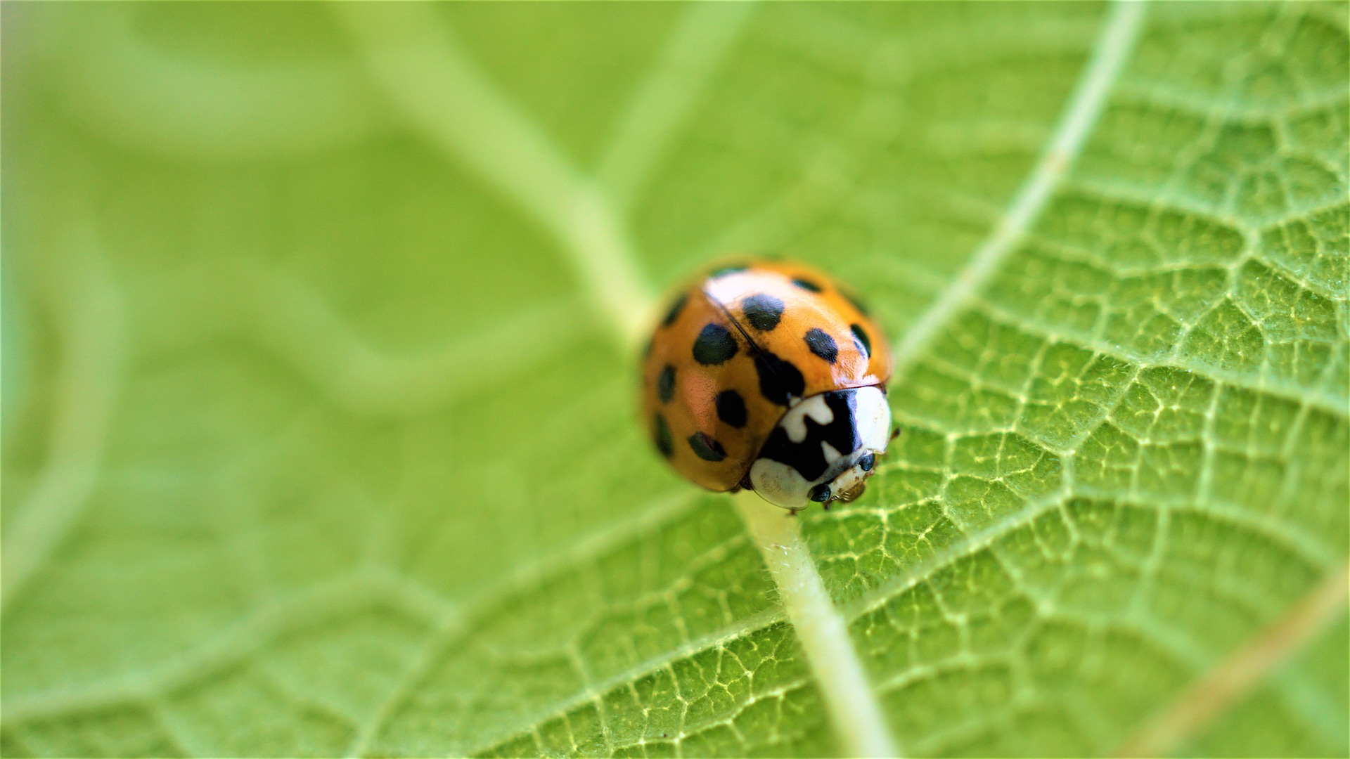 Exposition “Changement climatique et biodiversité”