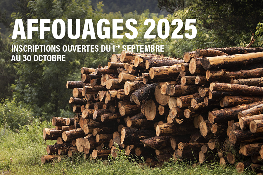 Affouages 2025 : les inscriptions sont ouvertes