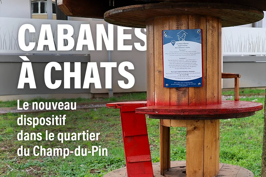 Des cabanes à chats dans le quartier du Champ-du-Pin 🐈