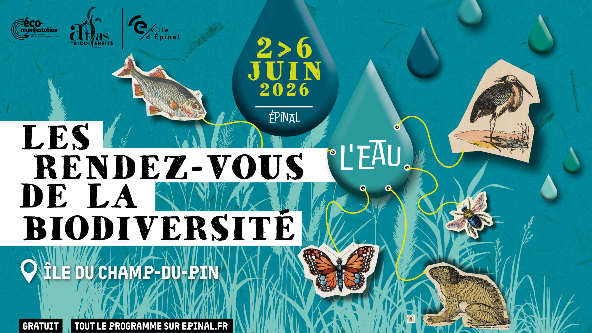 Rendez-vous avec la biodiversité du 2 au 6 juin 2026