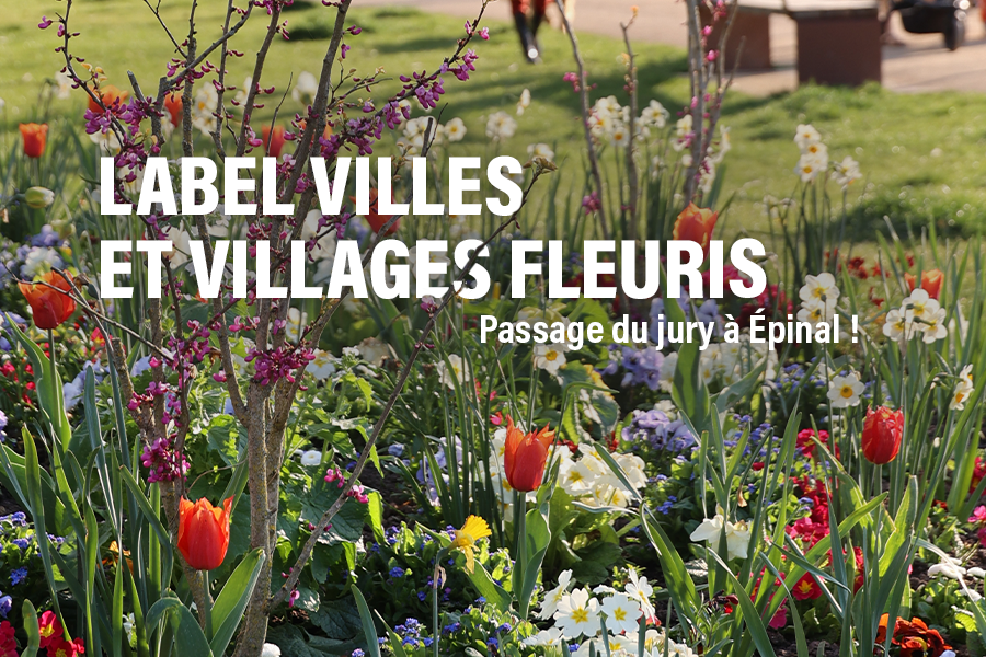 Passage du jury du Label « Villes et Villages fleuris »