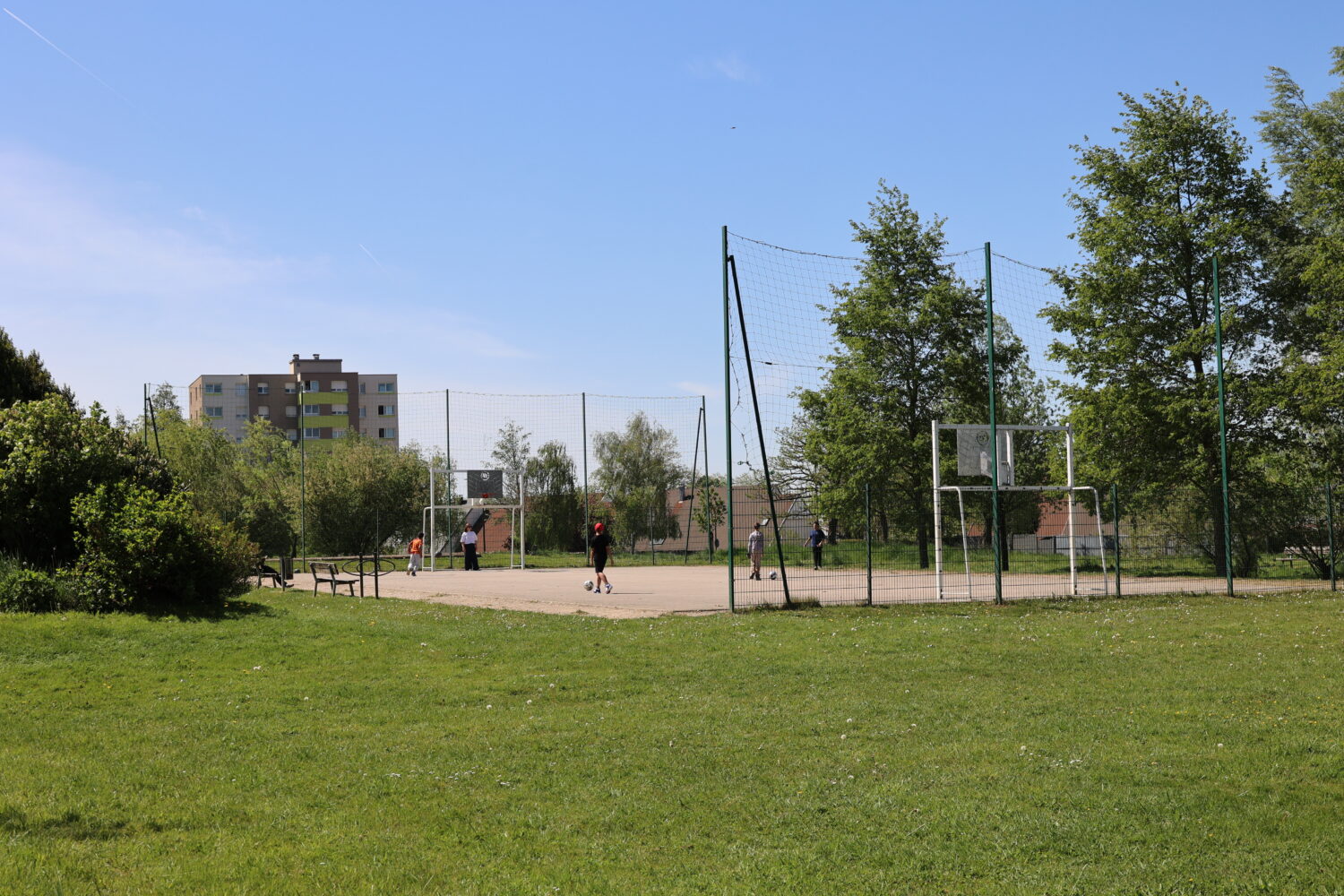 IMG 4247