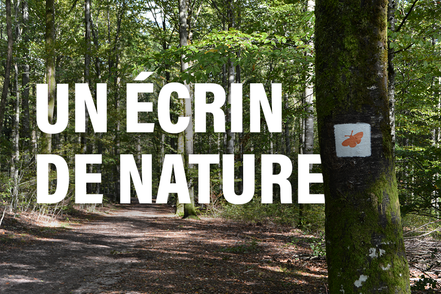 Sur le terrain pour préparer l’avenir de la tourbière de la Tranchée de Docelles