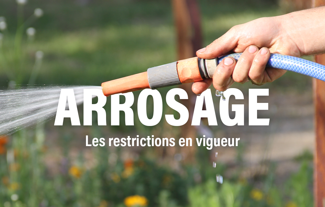 Sécheresse : la Ville adapte la gestion de ses espaces verts