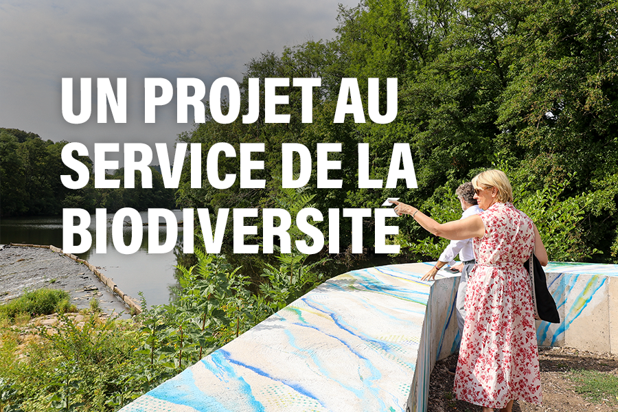 L’île du Champ-du-Pin, un projet au service de la biodiversité