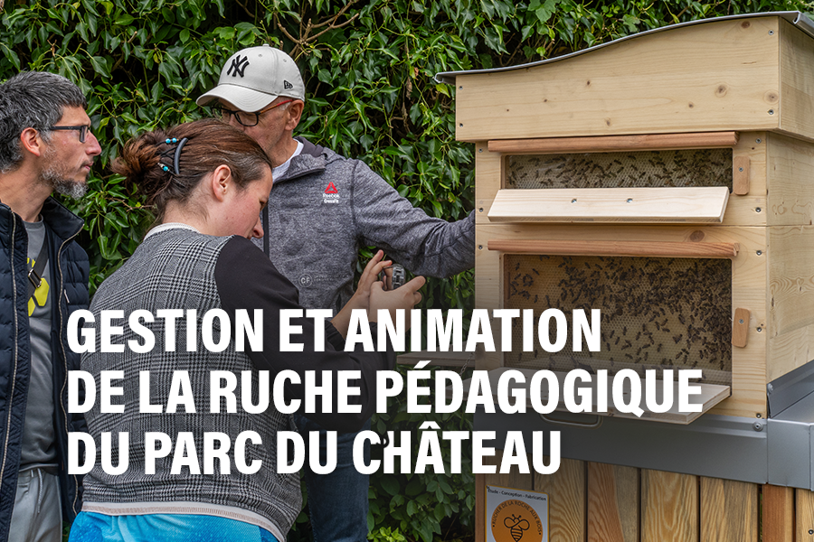APPEL À MANIFESTATION D’INTÉRÊT : gestion et animation de la ruche pédagogique du Parc du Château
