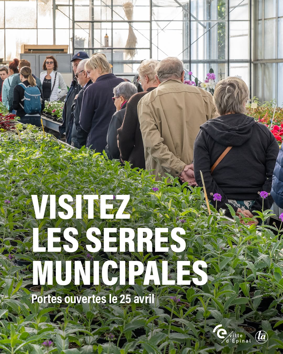 ville.epinal - Post : DXL47W5Dxca