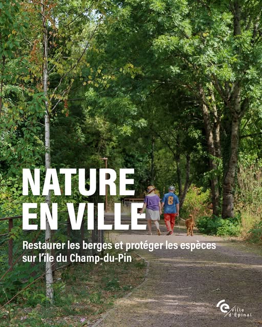 ville.epinal - Post : Dbn9CZujMhh