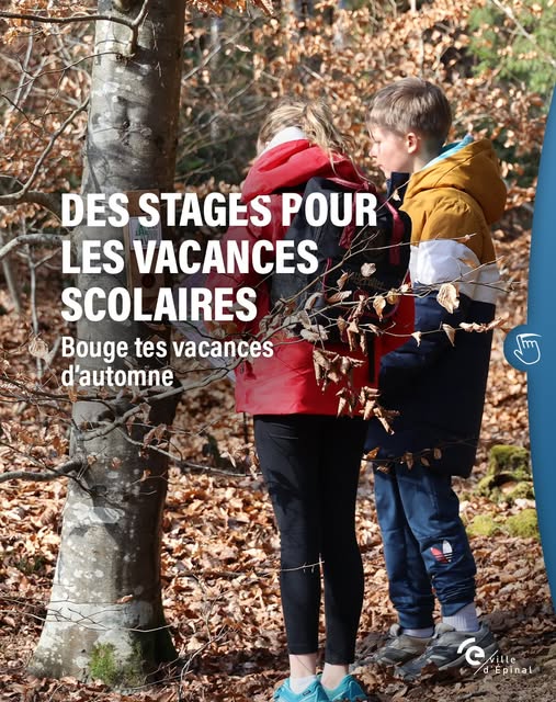 ville.epinal - Post : Dd8l8EJCDSx